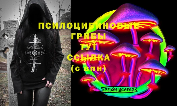 МДПВ Белокуриха