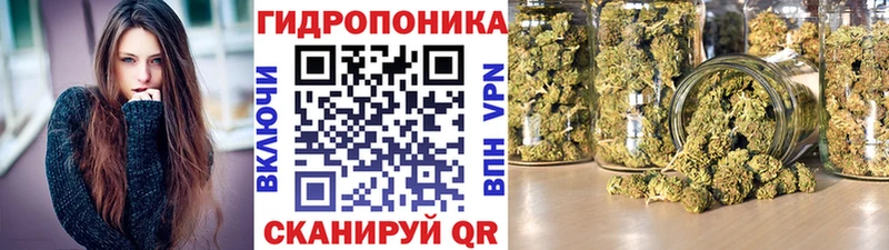 Шишки марихуана VHQ  это формула  Муравленко 